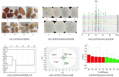 我院中药团队饮片质量控制研究成果陆续发表